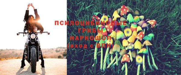 MDMA Алексин