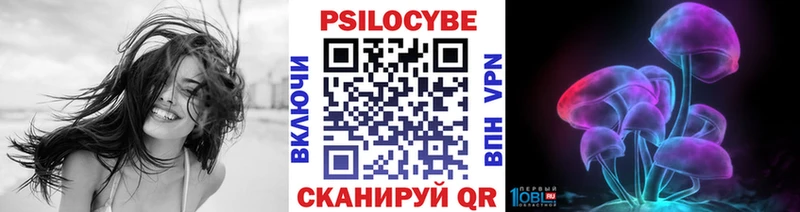 Галлюциногенные грибы MAGIC MUSHROOMS  omg ONION  Пошехонье 